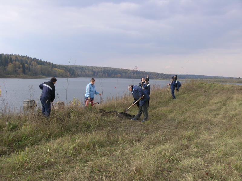 Прокопьевский Водоканал принял участие в осенней посадки деревьев