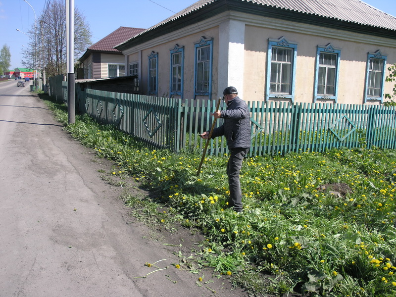 Водоканал принял участие в областной акции «Всекузбасский день посадки деревьев»