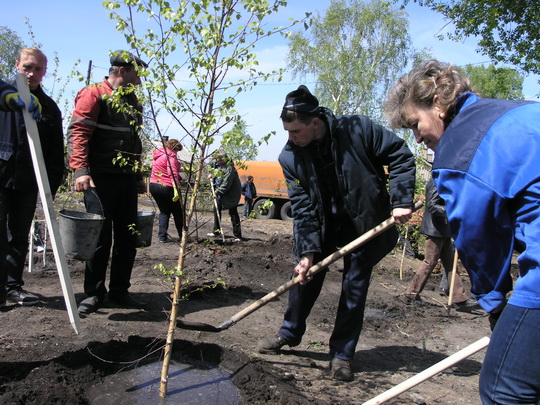 Прокопьевский Водоканал принял участие в едином дне посадки деревьев